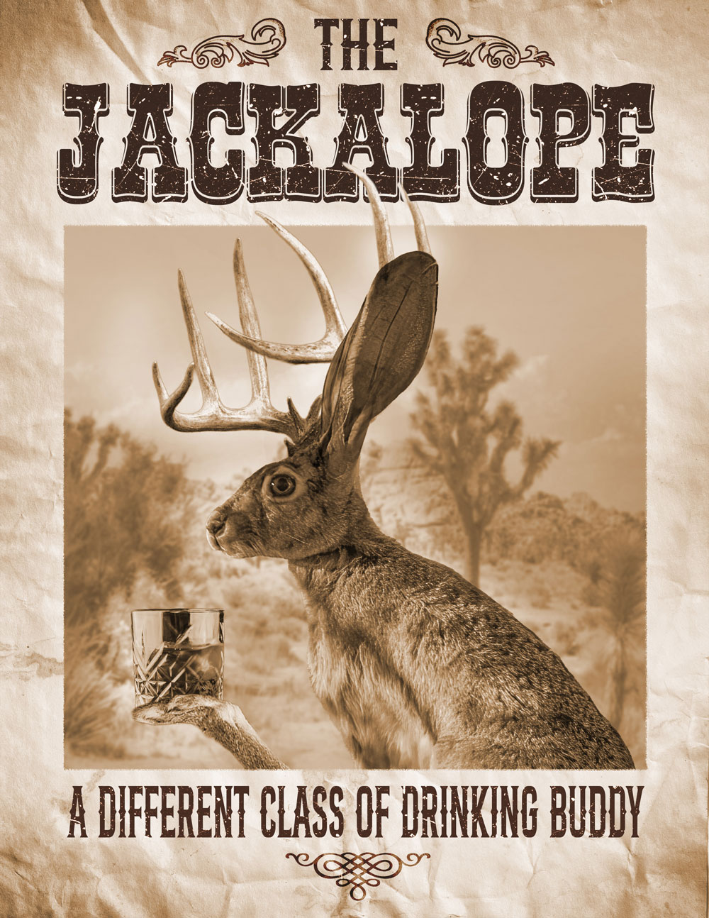 Jackalope Poster